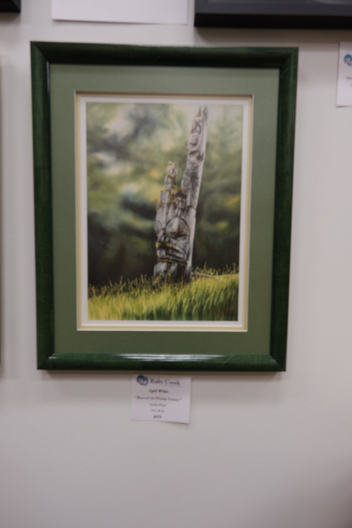 Framed Print - "Beaver on SGang Gwaay"