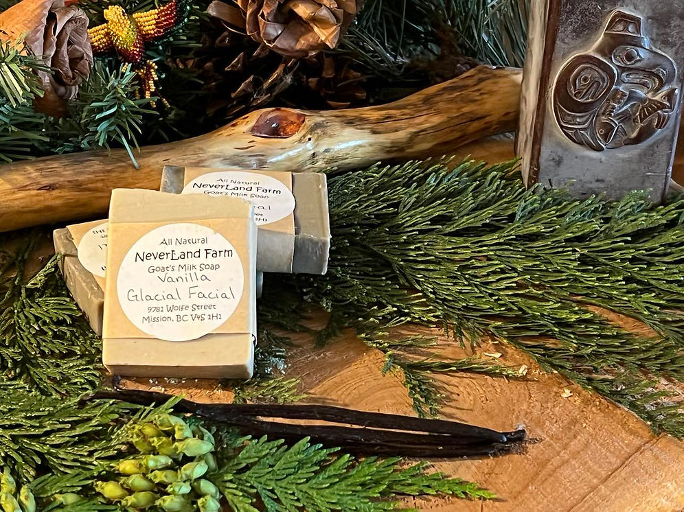 Goat Milk Soap - Assorted