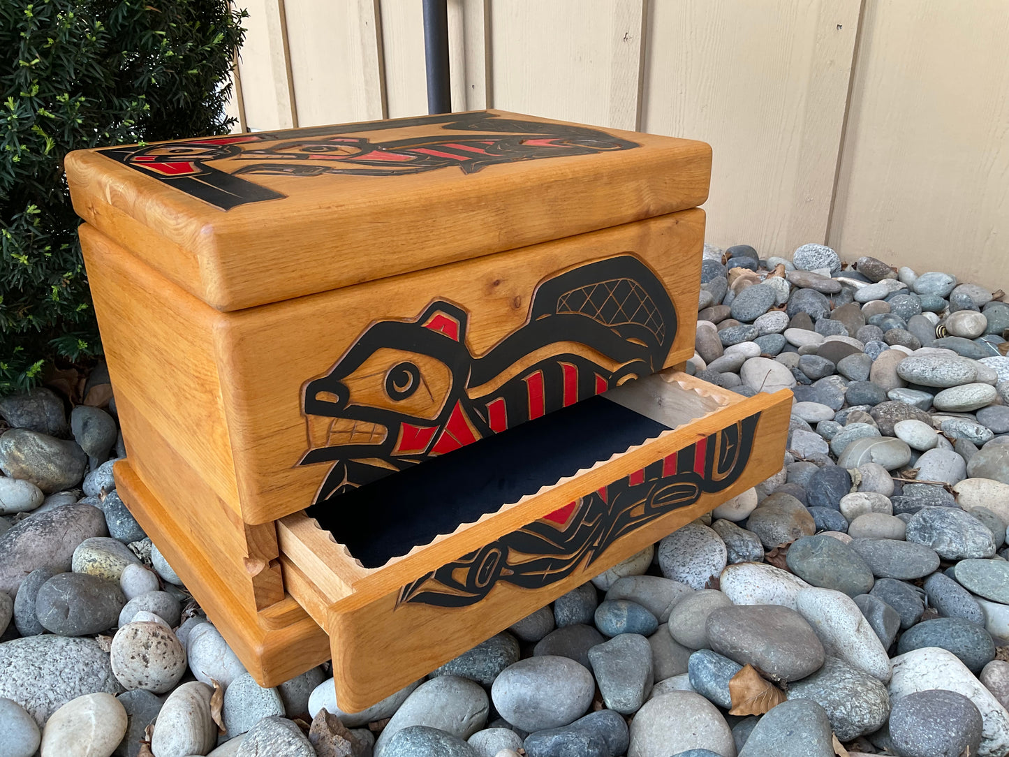 Chest - Beaver
