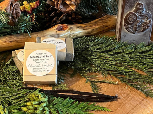 Goat Milk Soap - Assorted