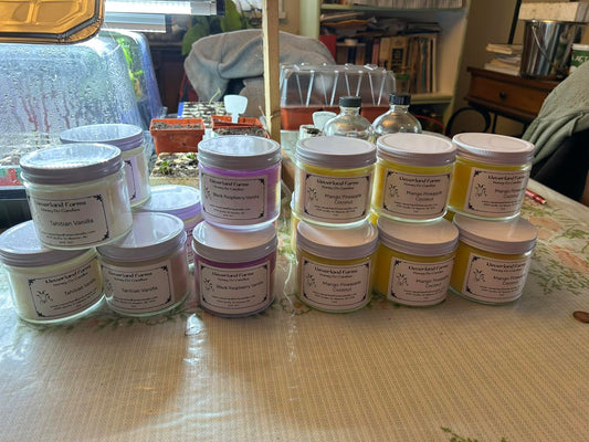 Soy Candles - Neverland Farm